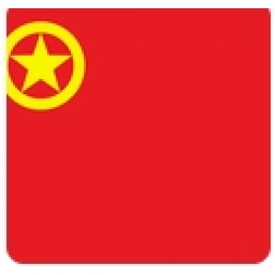 团旗