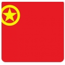 团旗